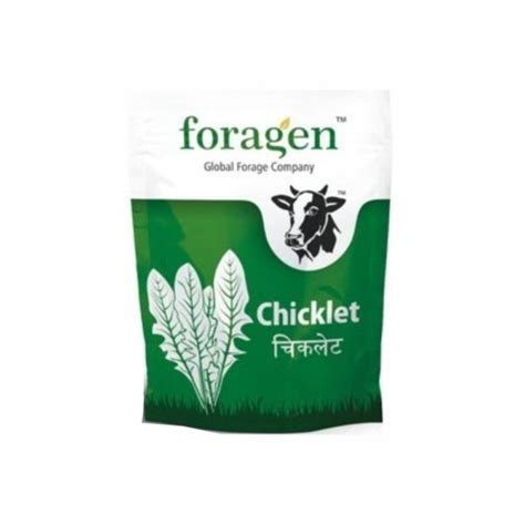 FORAGEN CHICKLET (100 GM) .